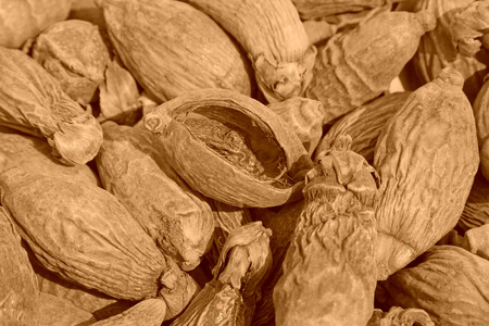 dry betel nut 