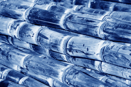 sugarcane, a kind of food, closeup of photoの写真素材