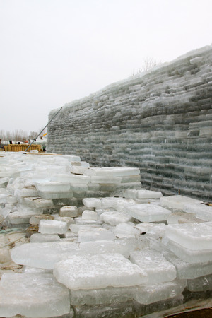 piles of ice and trees, closeup of photoの写真素材