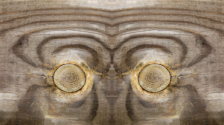 Wood texture, closeup of photoの写真素材