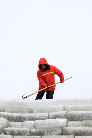LUANNAN COUNTY - JANUARY 24: Farmers arrange ice cubes on embacle in the winter on January 24, 2015, Luannan County, Hebei Province, Chinaのeditorial素材