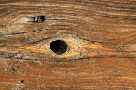 wood texture, closeup of photo