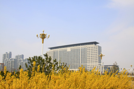 Urban architecture and greening, luannan county, hebei province, Chinaのeditorial素材