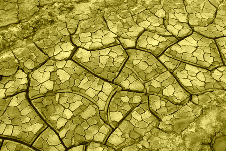 dry land in the wild, closeup of photo, north china