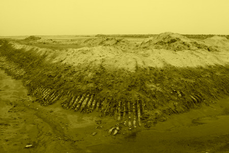 edge of pond in the wild, north chinaの写真素材