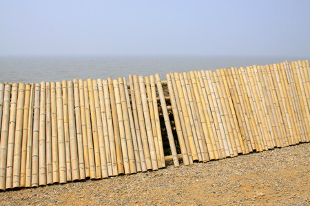 Bamboo Mosaic panels, closeup of photoの写真素材