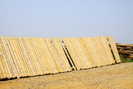 Bamboo Mosaic panels, closeup of photoの写真素材