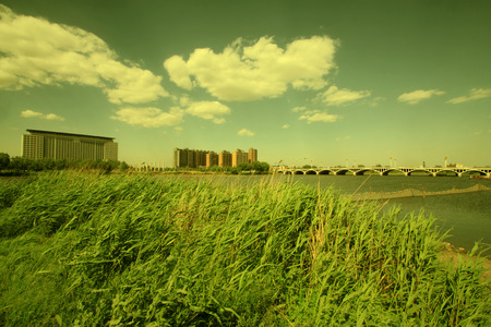 Beautiful scenery of the city, closeup of photoの写真素材