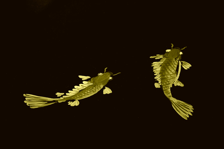 Little red goldfish paintings in black groundのeditorial素材