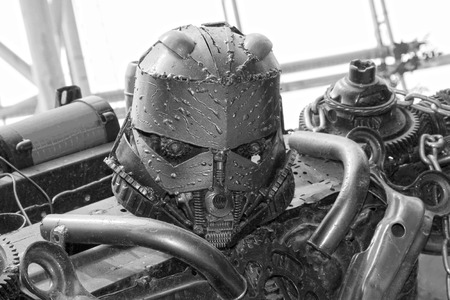 TIANJIN - MAY 17: Brown transformers headshot, Happy Valley, on May 17, 2014, Tianjin, China.のeditorial素材