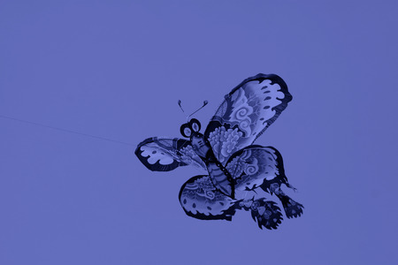 beautiful butterfly modelling kite in the skyの写真素材