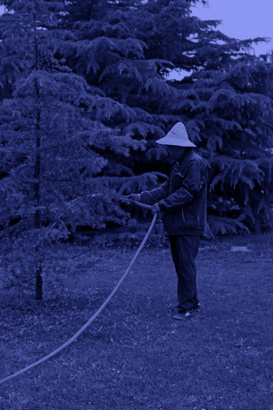 TANGSHAN - MAY 31: gardener is watering trees in a nurseryï¼on may 31, 2014, Tangshan city, Hebei Province, Chinaのeditorial素材