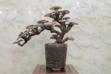 Ganoderma lucidum