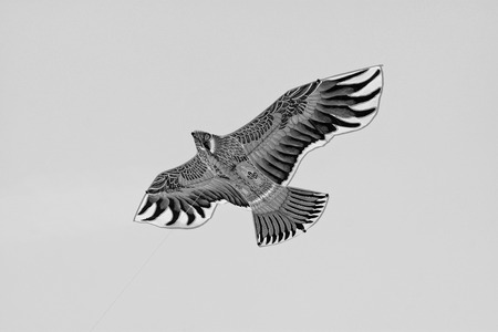 eagle modelling kite floating in the skyの写真素材