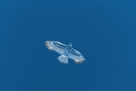 eagle modelling kite floating in the sky