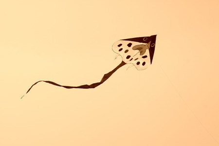 sole modelling kite floating in the skyの写真素材