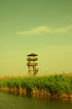 Wetland park sceneryの写真素材