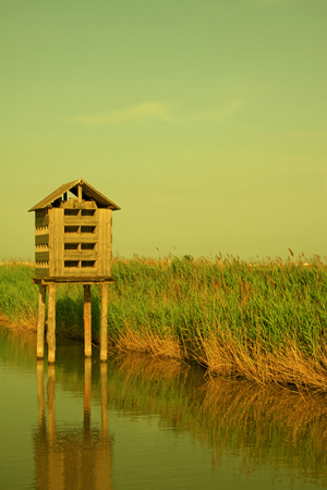 artificial bird's nest in the wetland parkの写真素材