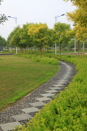 path in the parkの写真素材