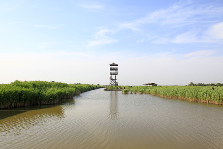 Wetland park sceneryの写真素材