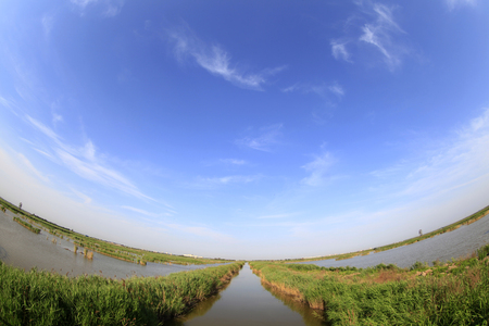 Wetland park sceneryの写真素材