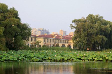 Urban construction and the grassland scenery, Chinaのeditorial素材
