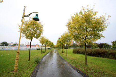 park sceneryの写真素材