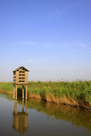 artificial bird's nest in the wetland parkの写真素材