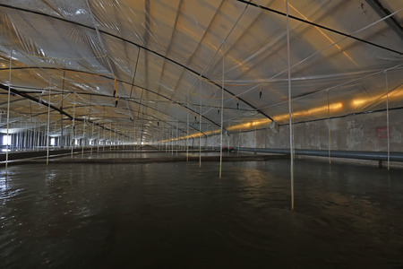 Mariculture pond in Chinaのeditorial素材