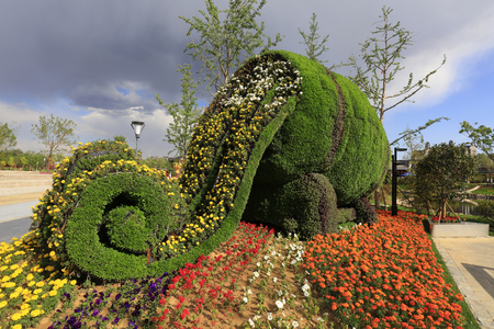 Green plant sculpture

のeditorial素材