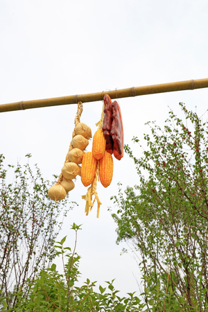 Corn, garlic and bacon modelingの写真素材