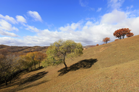 sights of the Ulan prairie in Inner Mongolia, China