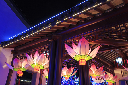 lotus lantern in the park, China

の写真素材