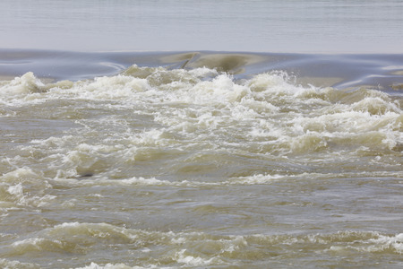 swift river in natureの写真素材