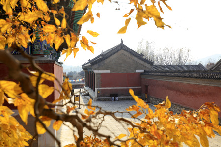 forbidden city in autumn, Chinaのeditorial素材