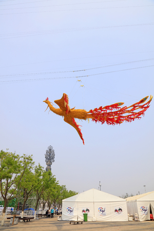 Phoenix and white tentのeditorial素材