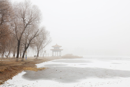 Natural scenery in winterの写真素材