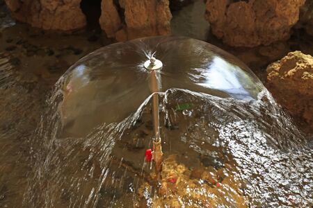 fountain in the park

の写真素材