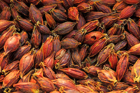 ingredients of Yellow Gardenia close upの写真素材