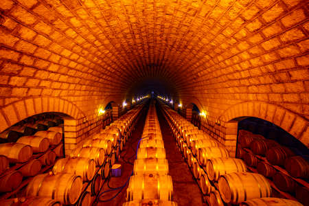 Oak barrels in wine cellars, Changli County, Hebei Province, Chinaのeditorial素材