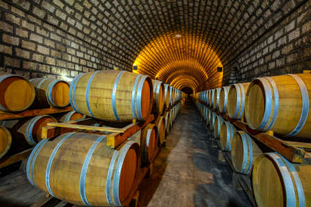 Oak barrels in wine cellars, Changli County, Hebei Province, Chinaのeditorial素材