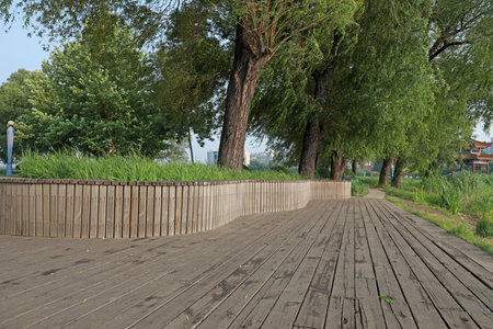 Wooden platform in a parkの写真素材