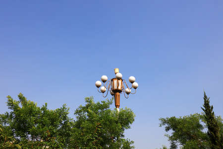 Chinese lanterns and trees in the blue sky backgroundの写真素材