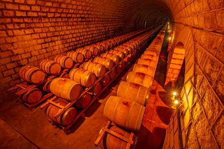Oak barrels in wine cellars, Changli County, Hebei Province, Chinaのeditorial素材