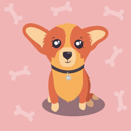 Cute corgi puppy in a collar on pink background with bones. Vector in cartoon styleのイラスト素材