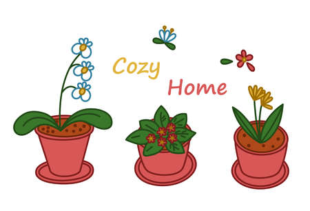 Flowers in the pot for a cozy home. Vector illustration in cute cartoon styleのイラスト素材