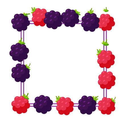 Blackberry and raspberry square frame for banners and designs. Border made of berries. Vector illustration in cute cartoon styleのイラスト素材