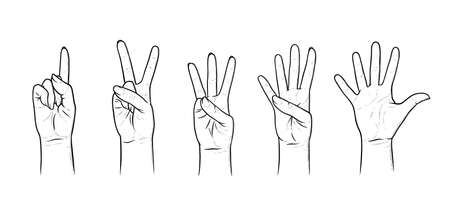 Gestures for counting from one to five. Set of hand gestures showing numbers. Sketch vector illustration isolated in white backgroundのイラスト素材