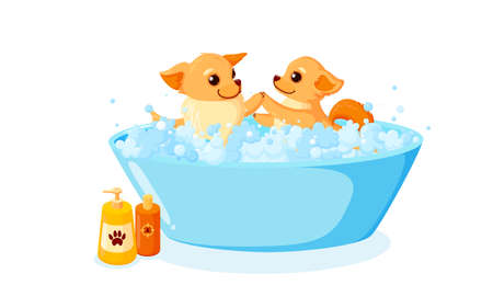 Dog grooming in a bathtub with shampoo. Chihuahua in soap foam isolated in white background. Vector illustration in cute cartoon styleのイラスト素材