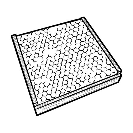 Isometric honey frames with beeswax. Honeycombs in wax foundation and square wooden frame. Hand drawn vector illustrationのイラスト素材
